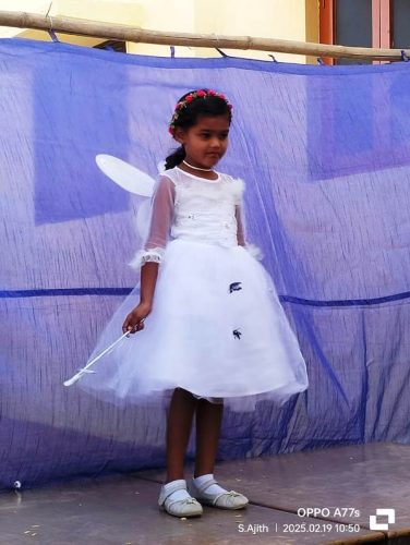 Fency-Dress-11